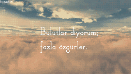 Çok fazla özgürler.