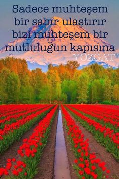 Sabır=Mutluluk