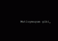 /album/siyah-fotograflar/tumblr-mtftaedasc1rd3ps0o1-500-gif/